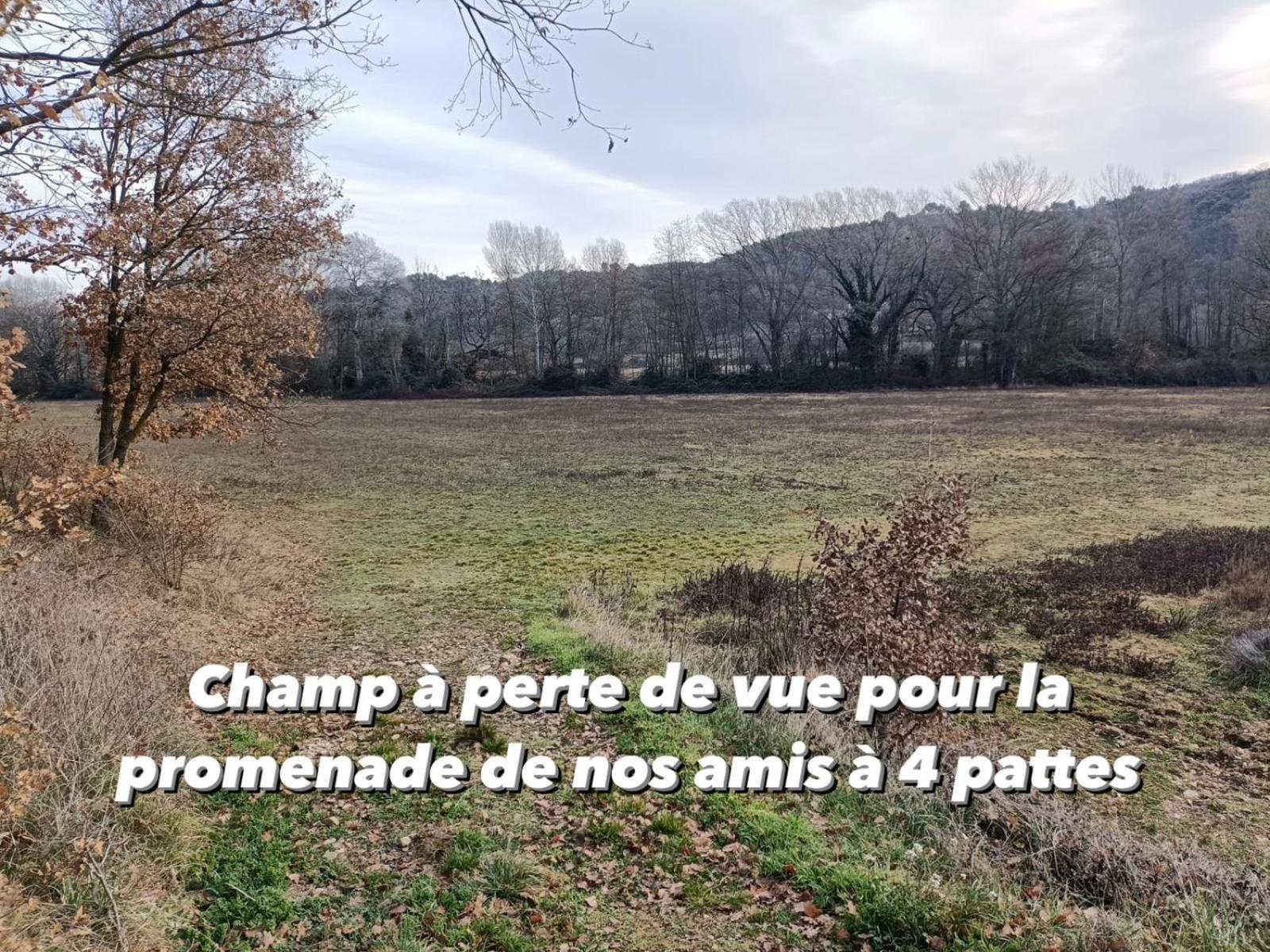 Gite Avec Terrasse Privee Proche Des Gorges Du Verdon Allemagne-en-Provence Eksteriør bilde